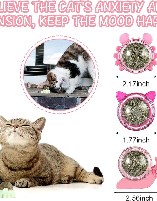 Load image into Gallery viewer, Catnip Wall Ball,Cat Toys Catnip Balls for Cats Wall Mounted Catnip Ball Toy Catnip Rollerball Wall Cat Lick Ball for Cat
