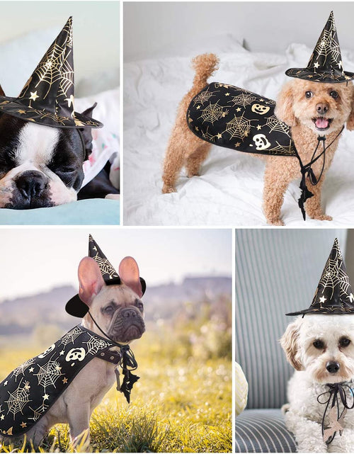 Load image into Gallery viewer, Pet Halloween Costumes Cape with Wizard Hat Dog Cat Halloween Apparels
