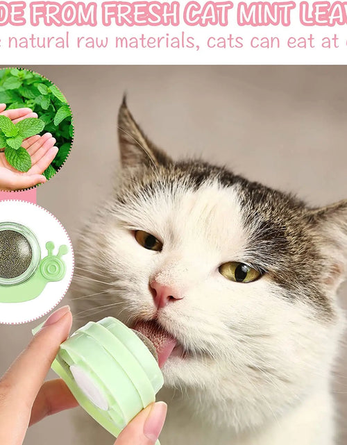 Load image into Gallery viewer, Catnip Wall Ball,Cat Toys Catnip Balls for Cats Wall Mounted Catnip Ball Toy Catnip Rollerball Wall Cat Lick Ball for Cat
