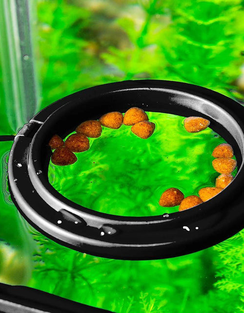 Load image into Gallery viewer, Fish Food Feeding Ring Aquarium Fish Tank Fish Feeder for Tropical Fish Food Feeding Assistant Pet Aquarium Accessories
